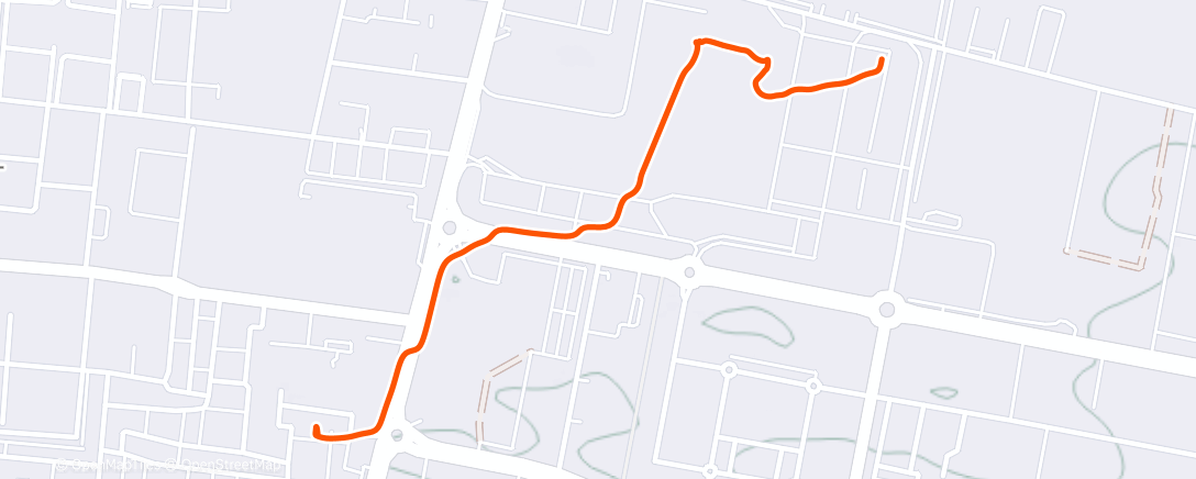 Карта физической активности (Night Walk)