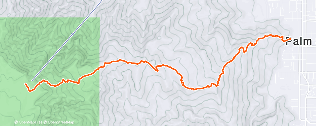 Map of the activity, Morning Trail Run