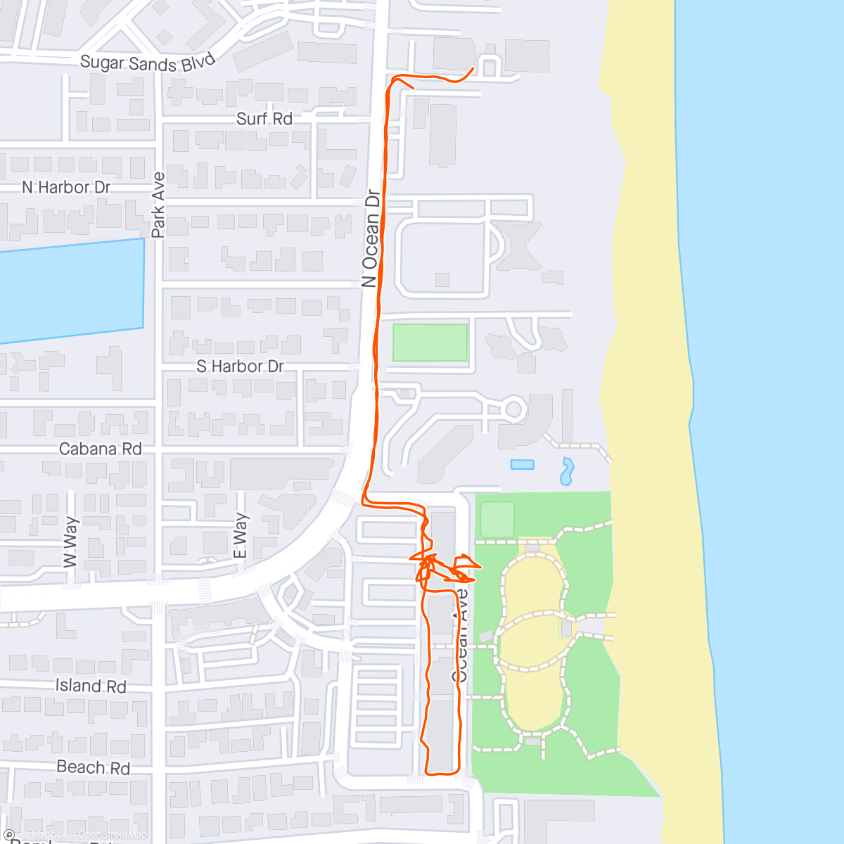 Map of the activity, Opps forgot to end my walk.  🤪