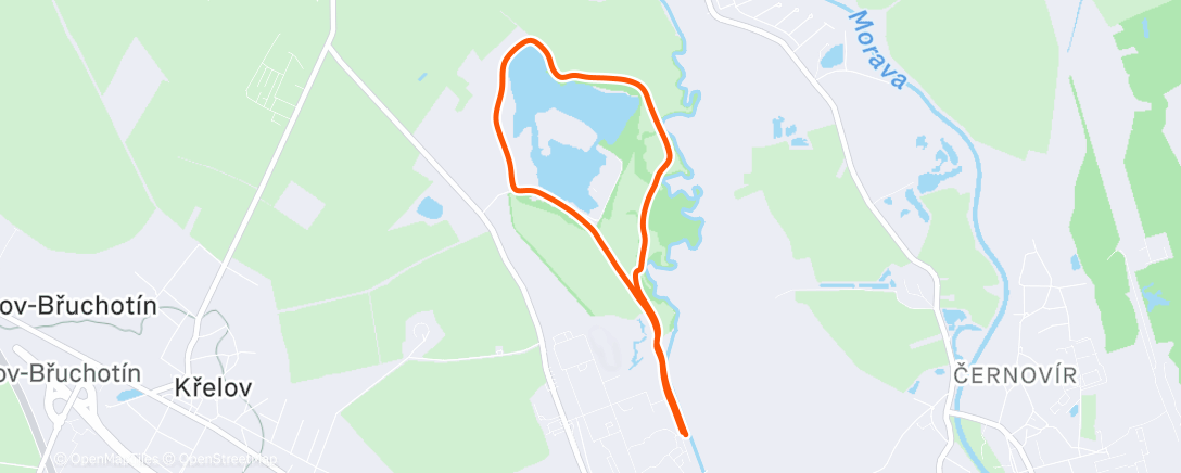 Карта физической активности (Morning Trail Run)