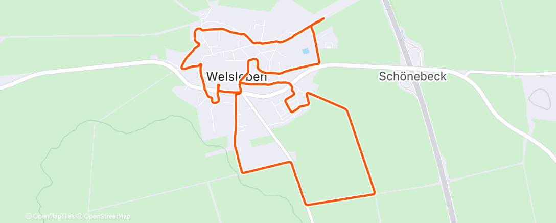 Карта физической активности (Lauf am Morgen)