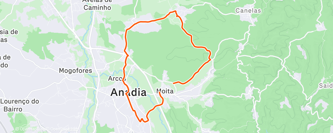 Карта физической активности (just fun)