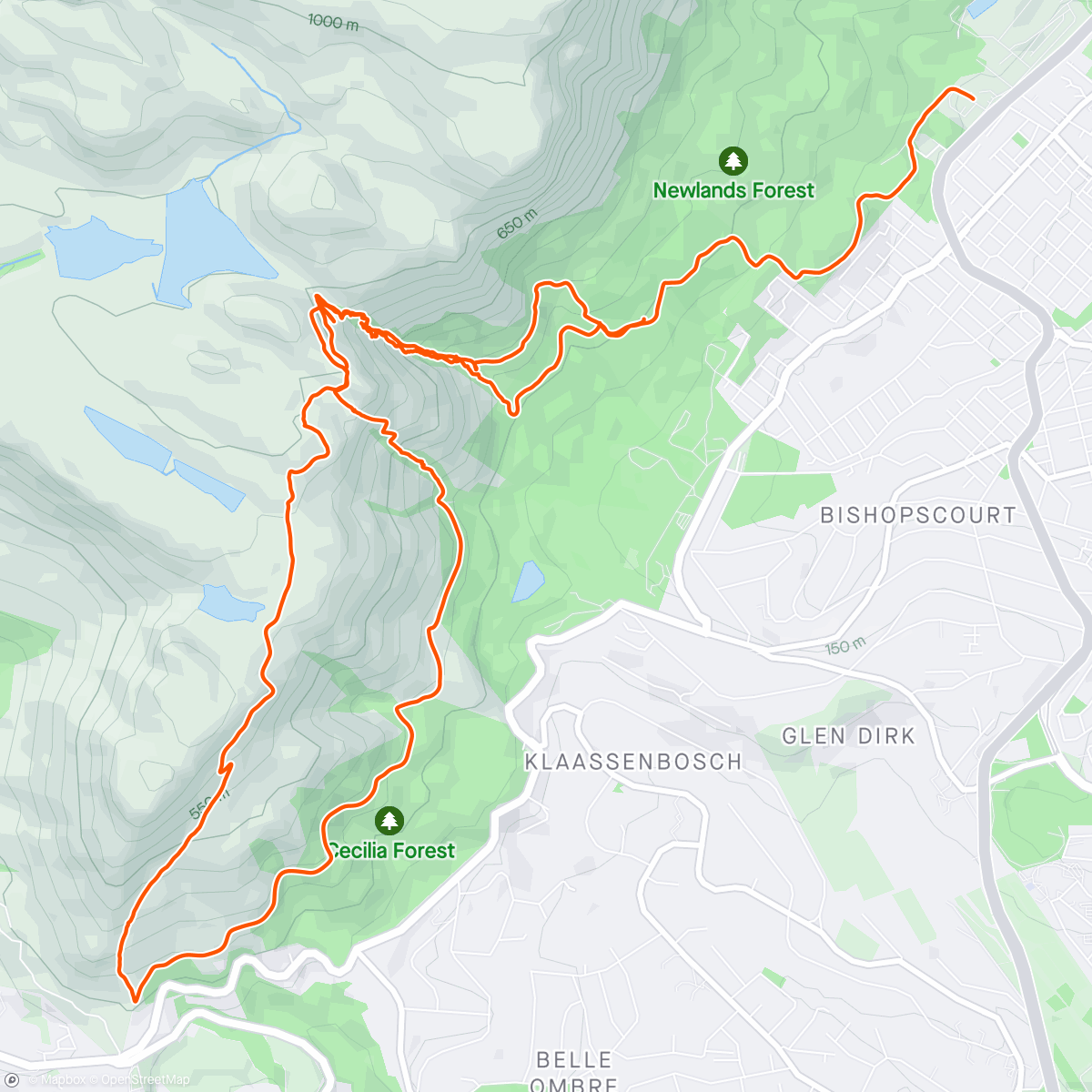 Map of the activity, Morning trail run