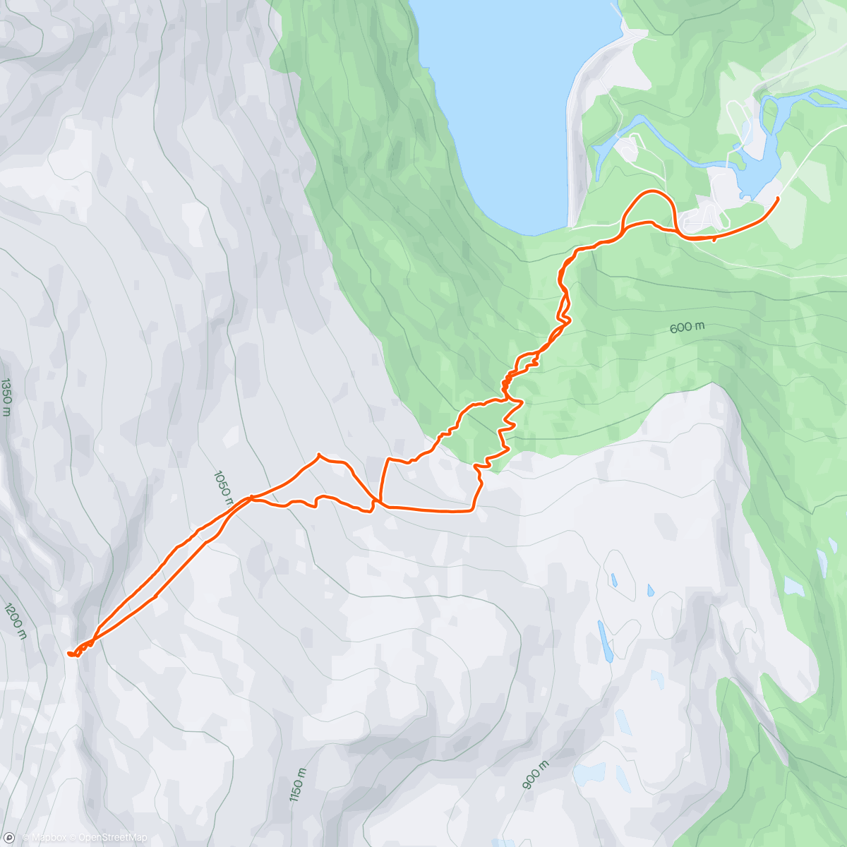 Map of the activity, Nonskar i Jostedalen