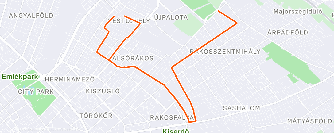 Карта физической активности (Morning Run)