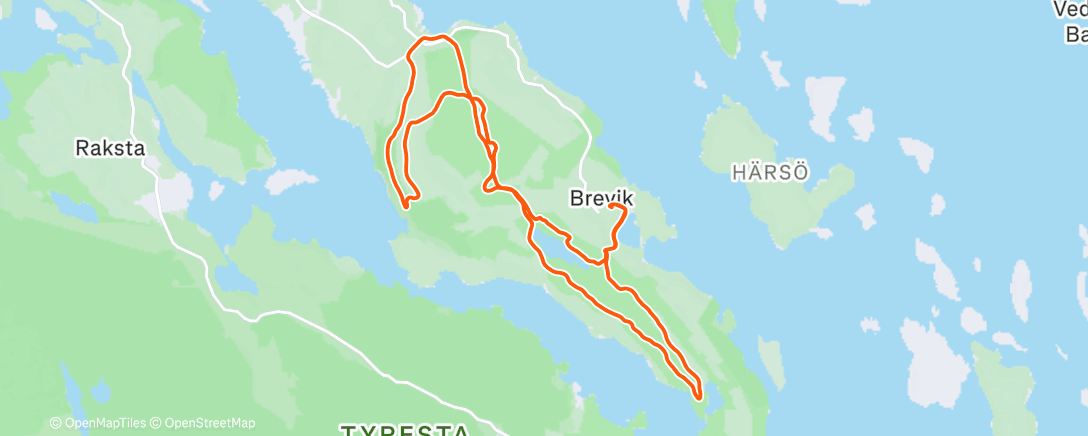 Карта физической активности (Morning Run)