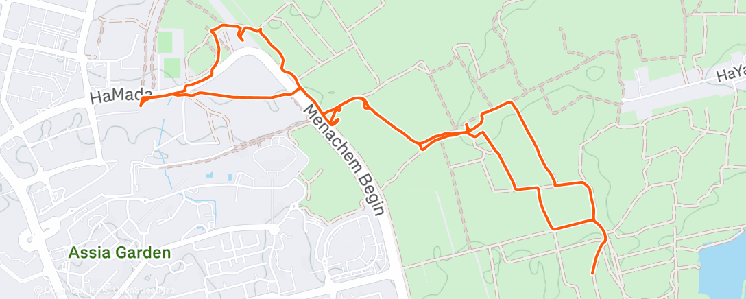 Map of the activity, Morning Trail Run