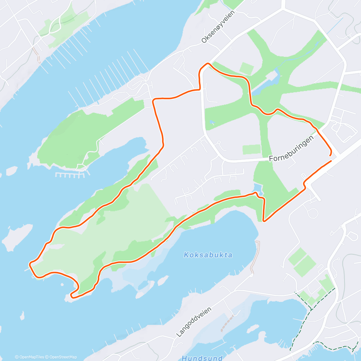 Карта физической активности (Morning Trail Run)