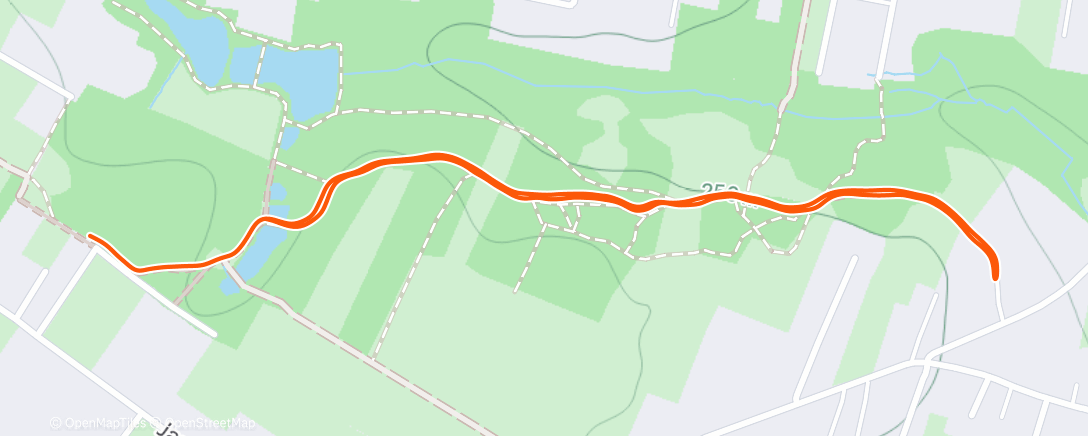 Карта физической активности (Afternoon Run)