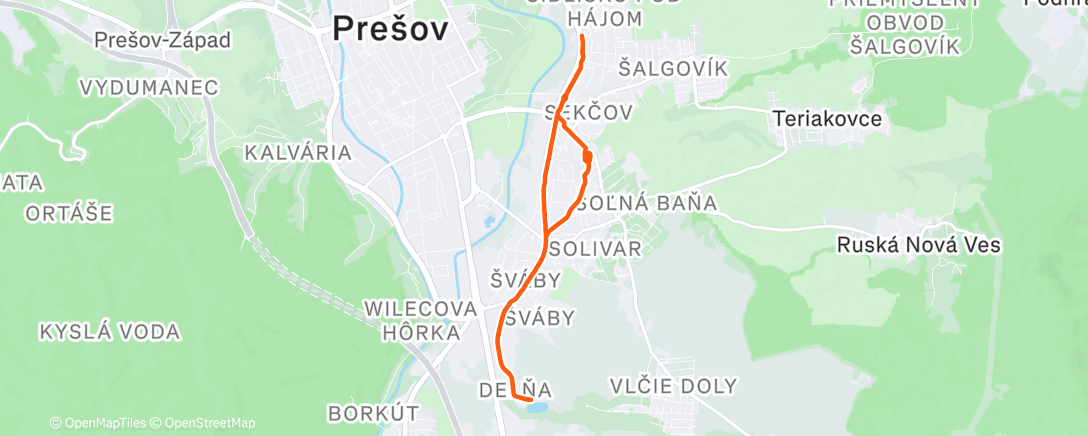 Карта физической активности (Evening Run)