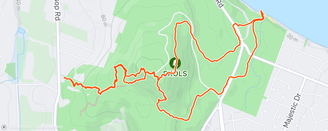 Map of the activity, Morning Run