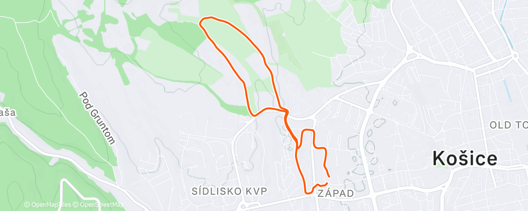 Карта физической активности (Afternoon Run)