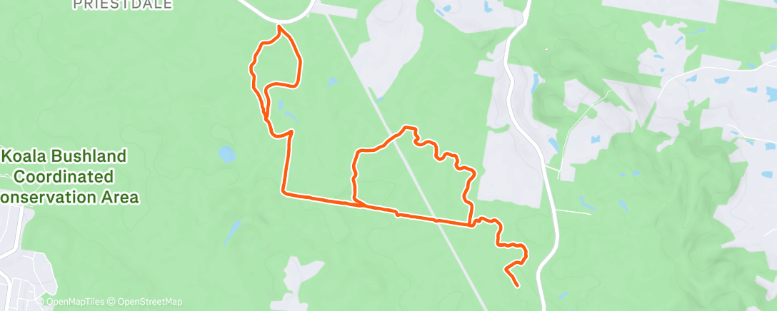 Map of the activity, Morning Trail Run