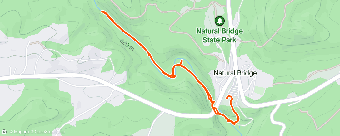Карта физической активности (Natural Bridge State Park)