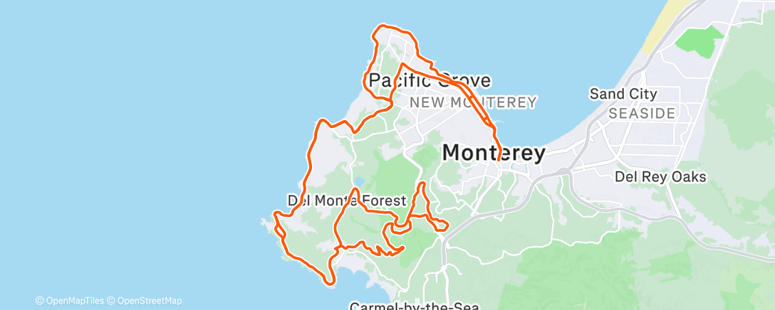 Map of the activity, After Afib Activity