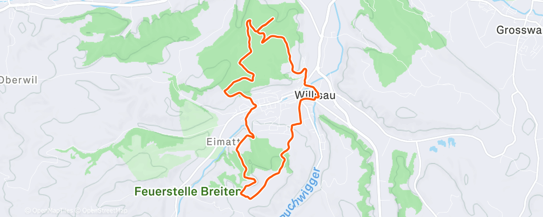 Mapa de la actividad (Afternoon Trail Run)
