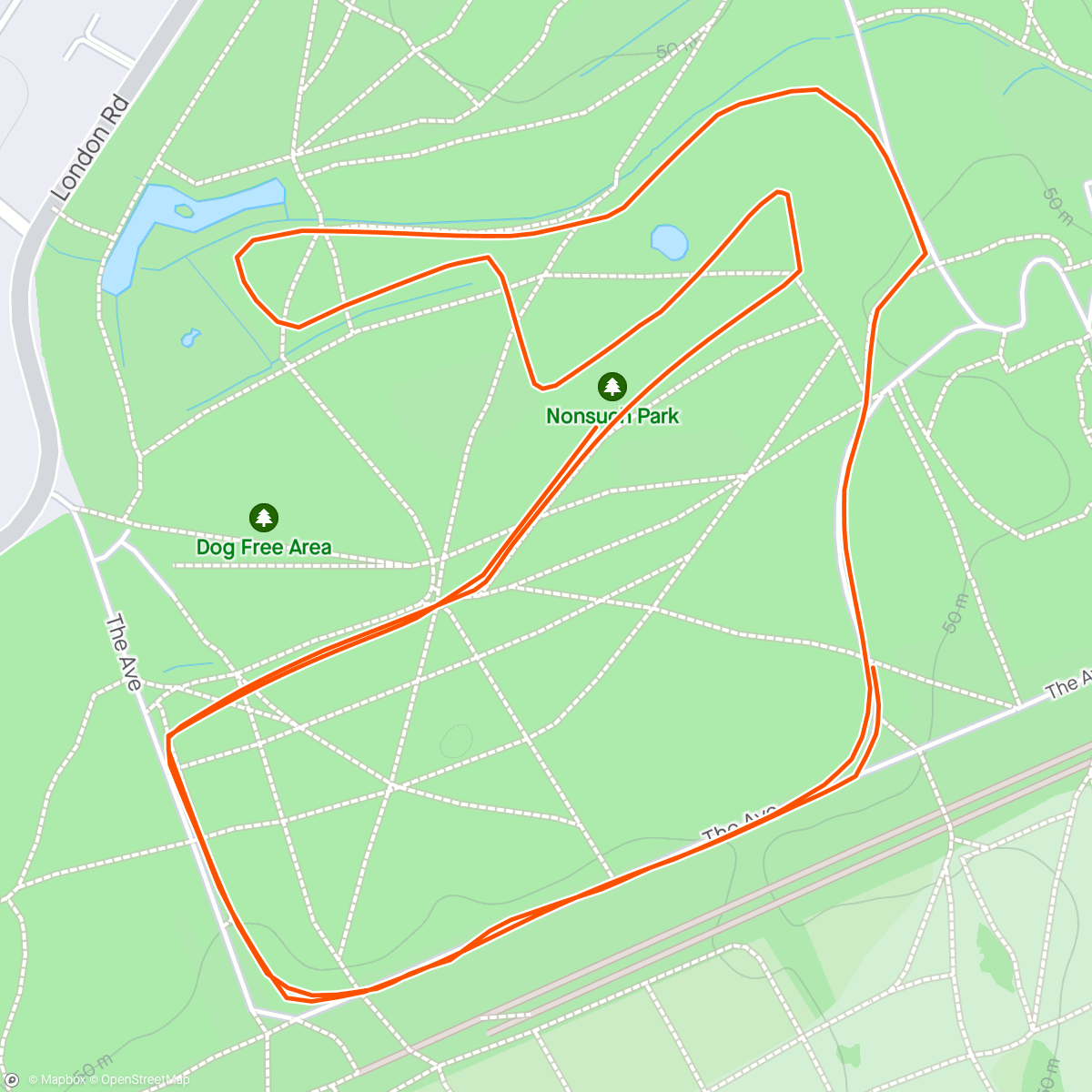 Map of the activity, Nonsuch Parkrun #578 PB- 20:00🙄