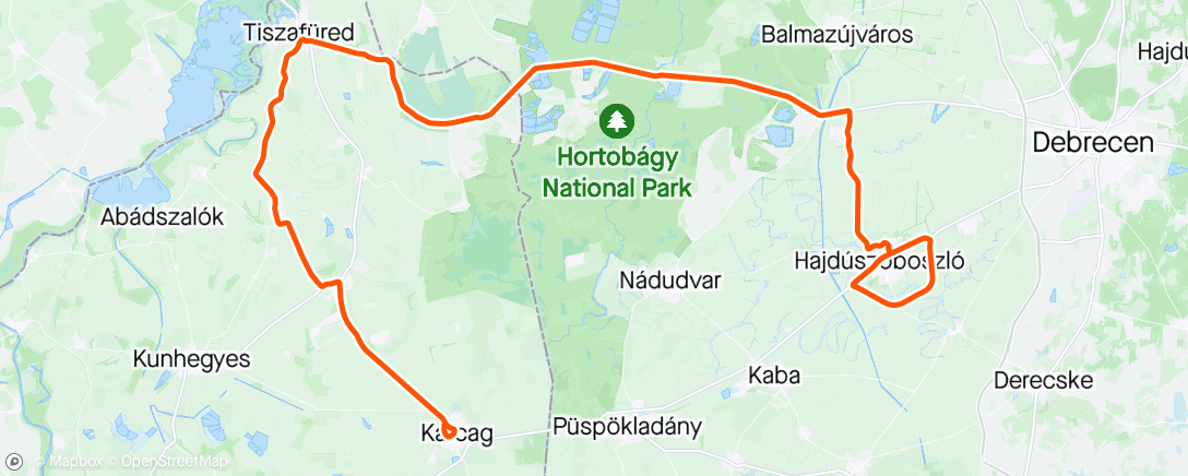 Map of the activity, TDH stage 1