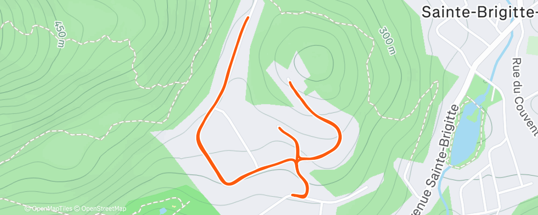 Карта физической активности (Dernière de 2025?)