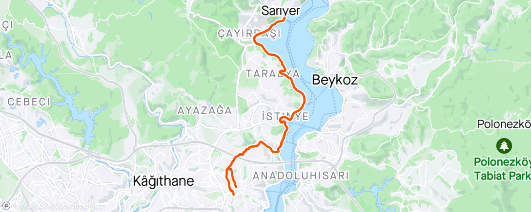 Map of the activity, Sarıyer sen koca bir böreksin