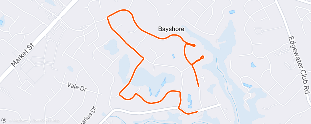 Map of the activity, Morning Run