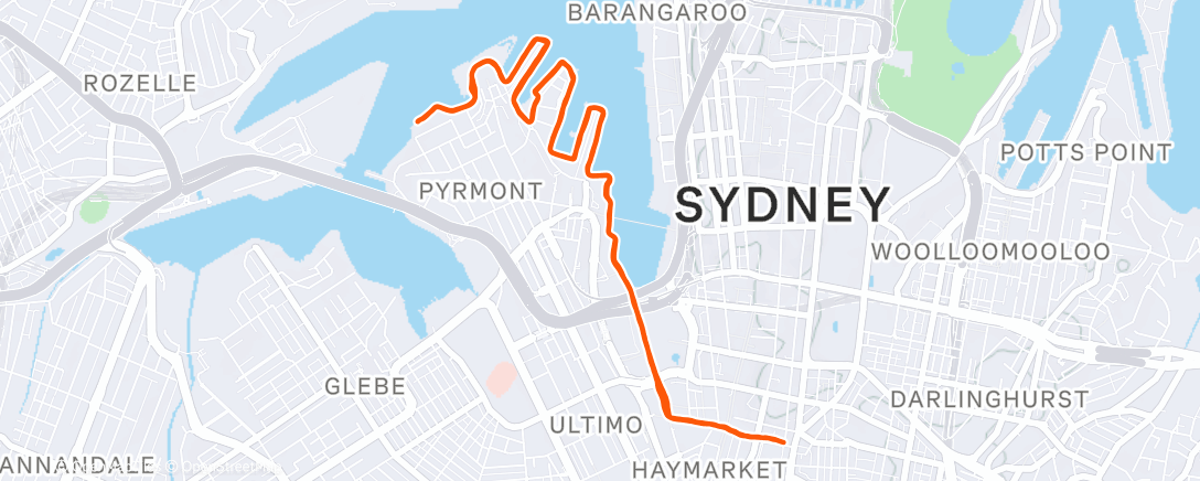 Mapa de la actividad (Morning Run)