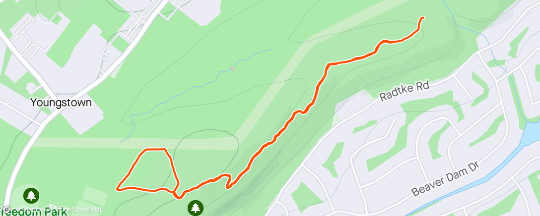Karte der Aktivität „Morning Trail Run”