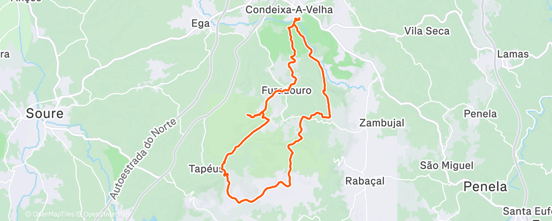 Карта физической активности (Morning Trail Run)