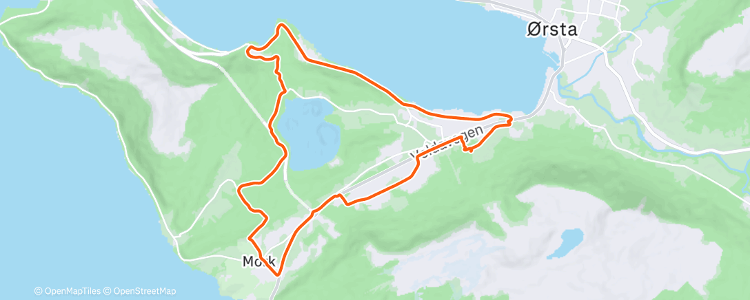 Карта физической активности (Morning Run)