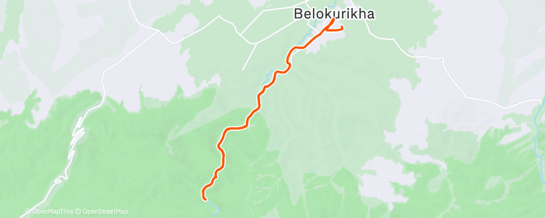 Map of the activity, Пустая белка перед праздниками