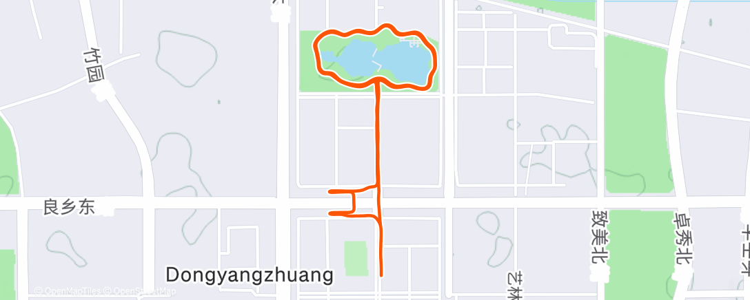 Карта физической активности (Lunch Run)