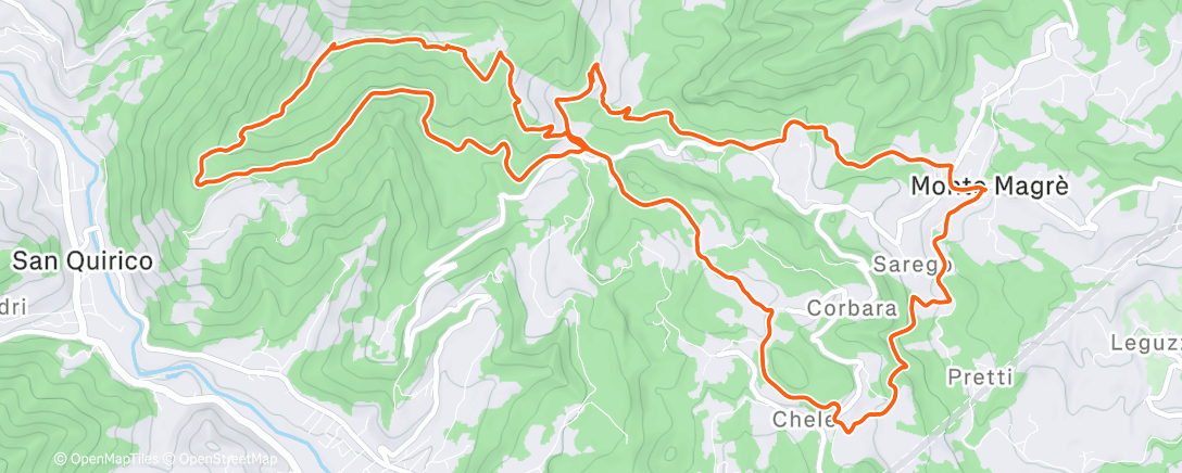 Карта физической активности (Morning Trail Run)