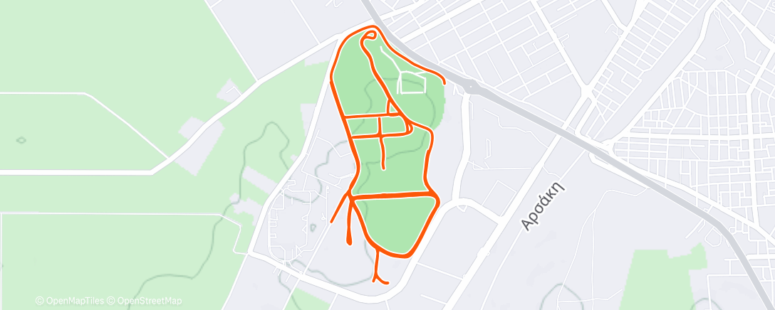 Карта физической активности (Lauf am Nachmittag)