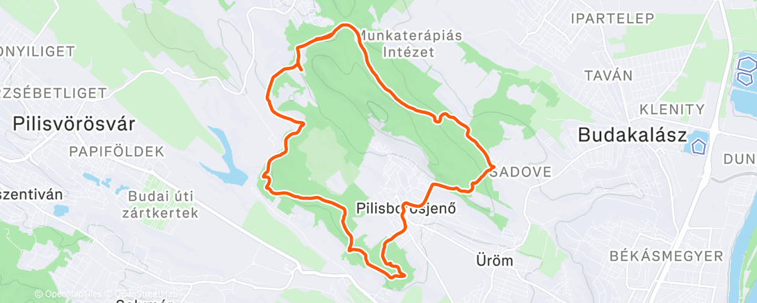 Map of the activity, Morning Trail Run