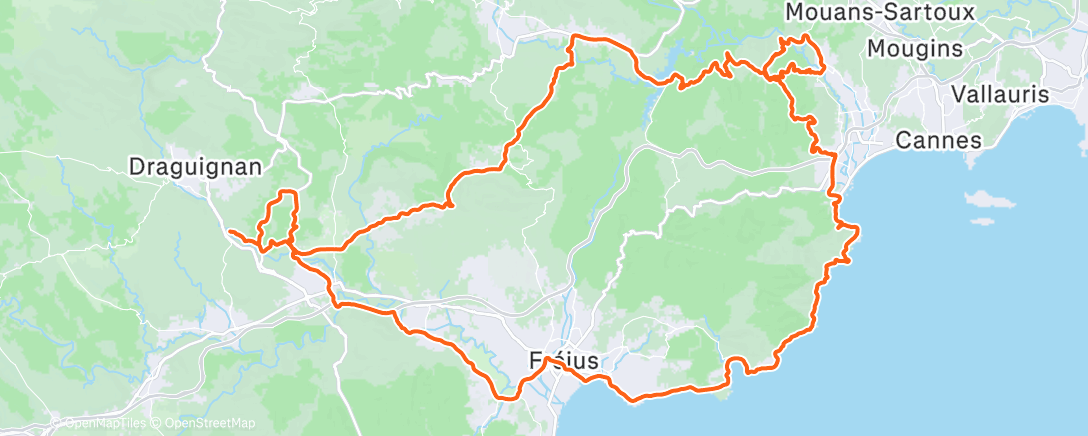 Карта физической активности (La dernière de 2025 🦄)