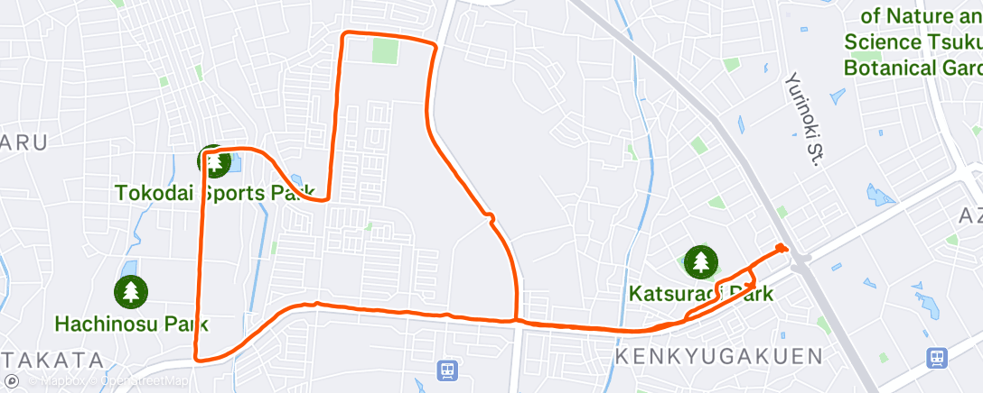 Map of the activity, 夜のランニング