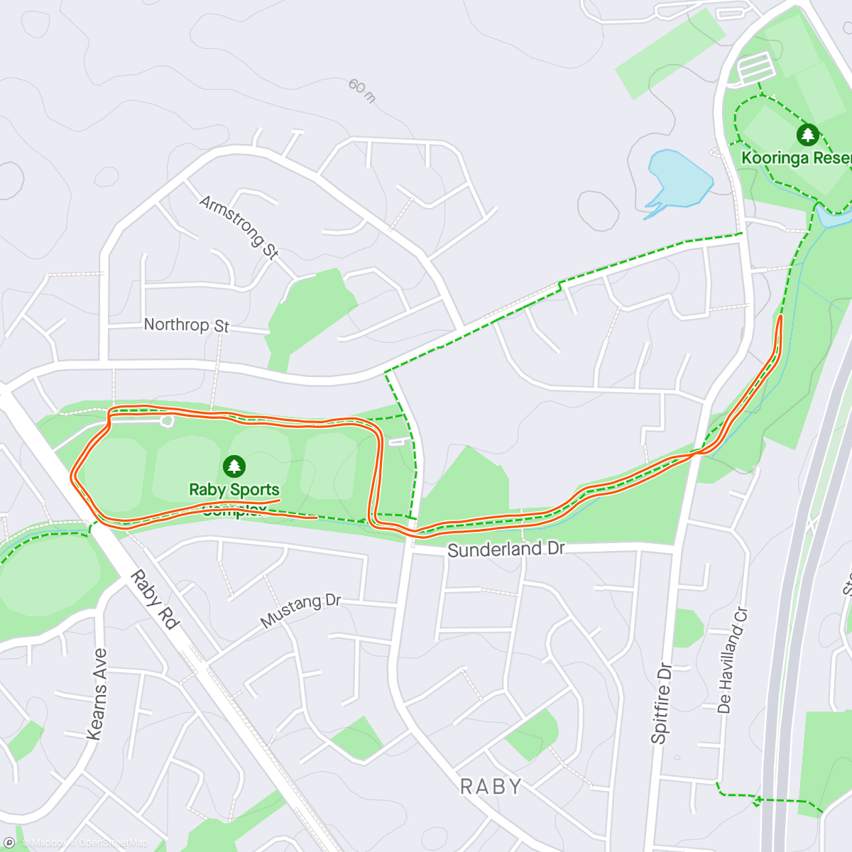 Map of the activity, Damp autumn parkrun with friends