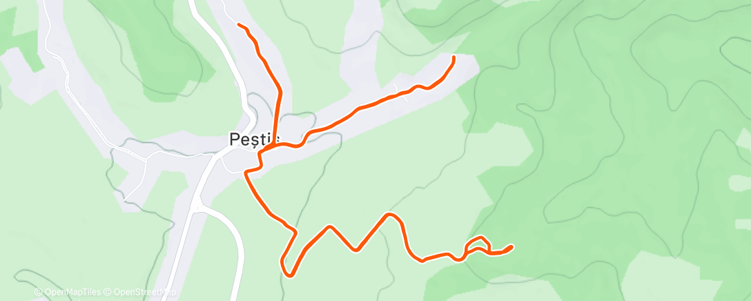 Карта физической активности (Morning Run)