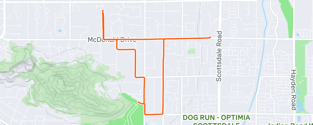 Карта физической активности (Lunch Run)