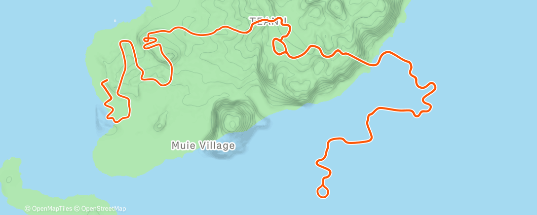 Map of the activity, Zwift - Tempus Fugit in Watopia