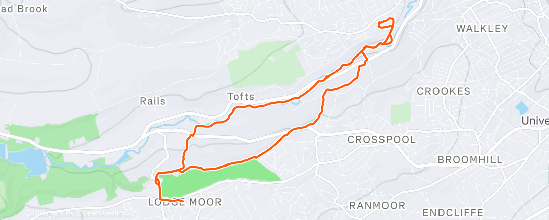 Карта физической активности (Morning Walk)