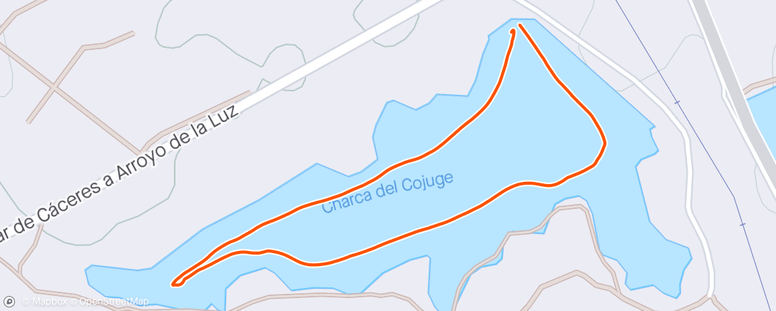 Map of the activity, Natación de tarde