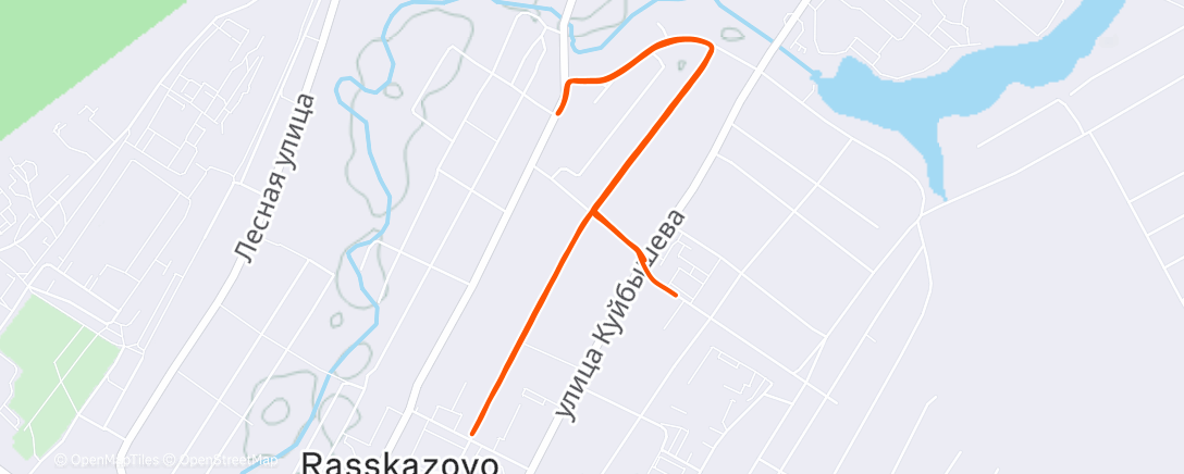 Карта физической активности (Утренний забег)