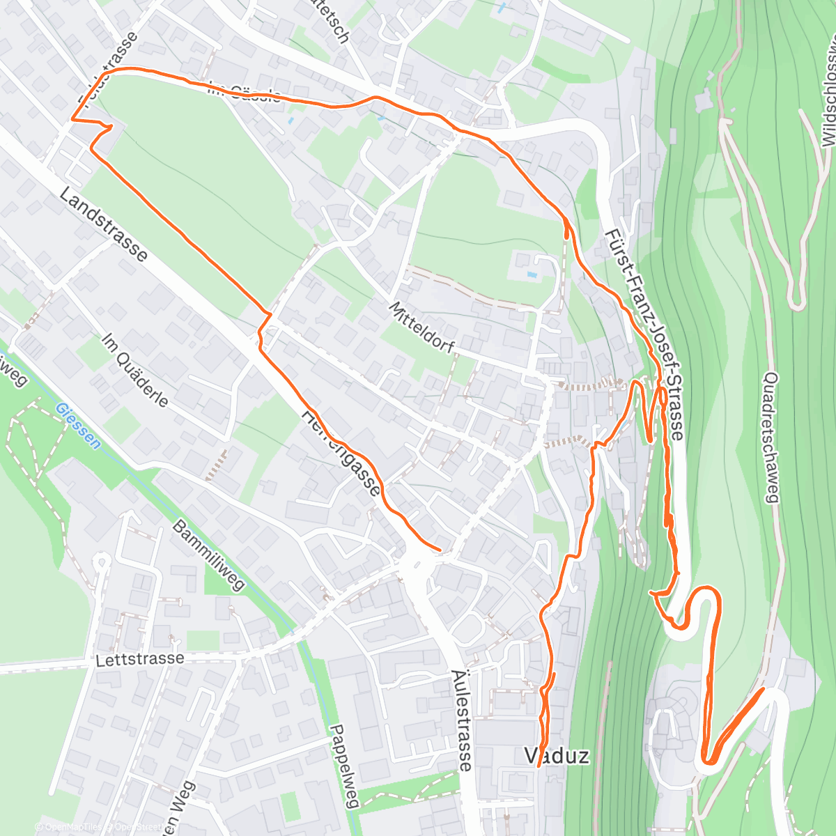 Map of the activity, Liechtenstein 🇱🇮 wandering