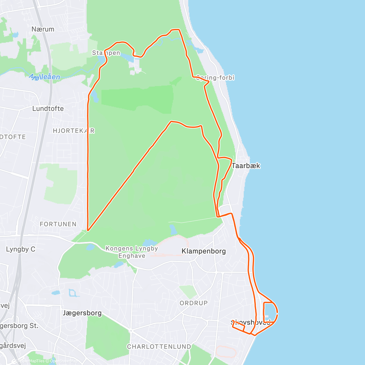 Карта физической активности (2nd last run)