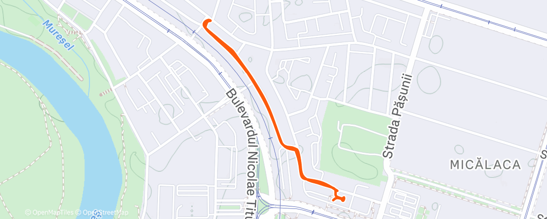 Карта физической активности (Afternoon Walk)