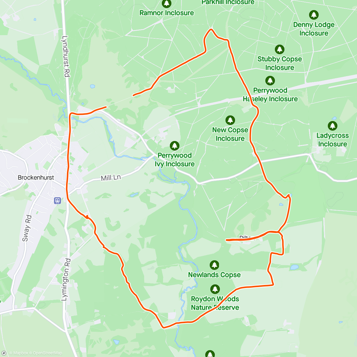 Map of the activity, Roydon Woods