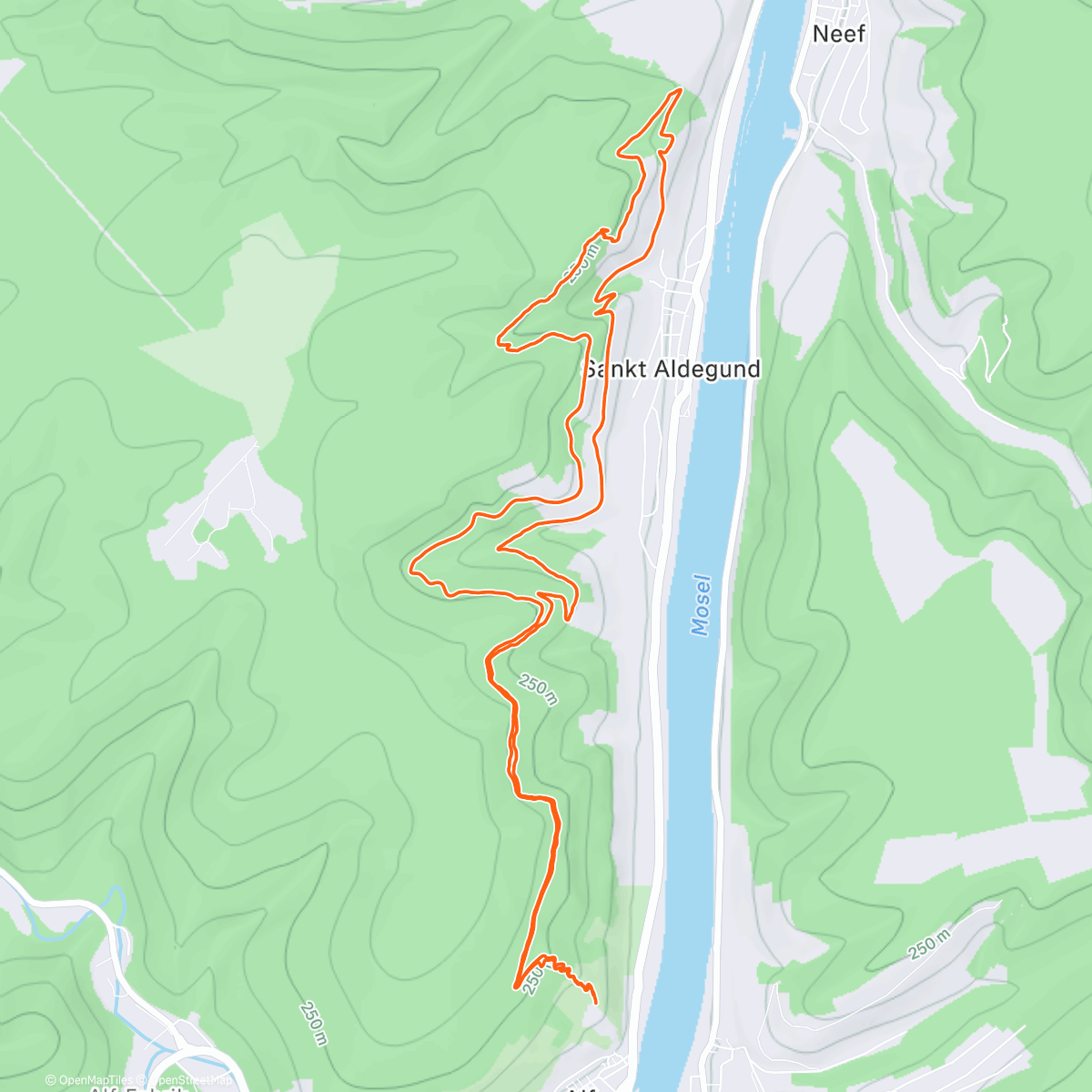 Map of the activity, Lauf am Morgen