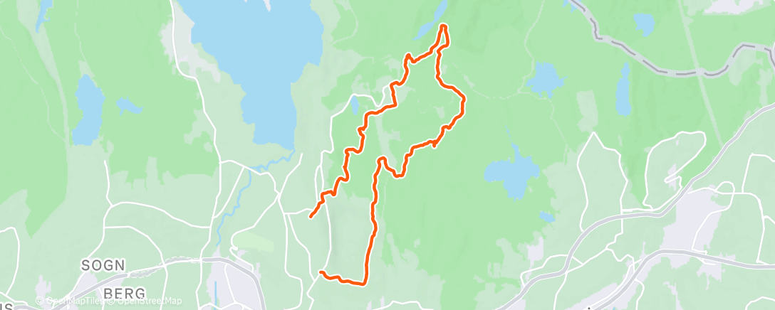 Map of the activity, Nydelig på sti (burde vært litt mer snø)