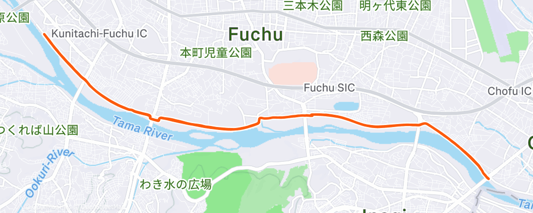 Map of the activity, Morning Run